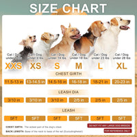 Small Dog Harness and Leash Set, No Pull Puppy Pet Vest, S - Small(Chest Girth 14.5" - 16") / Bee Pattern - image 2
