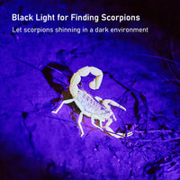 GLOSSDAY UV Flashlight Black Light - 100LED (Pack of 2) - image 4