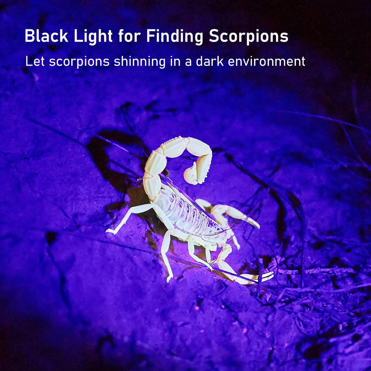 GLOSSDAY UV Flashlight Black Light - 100LED (Pack of 2) - image 4