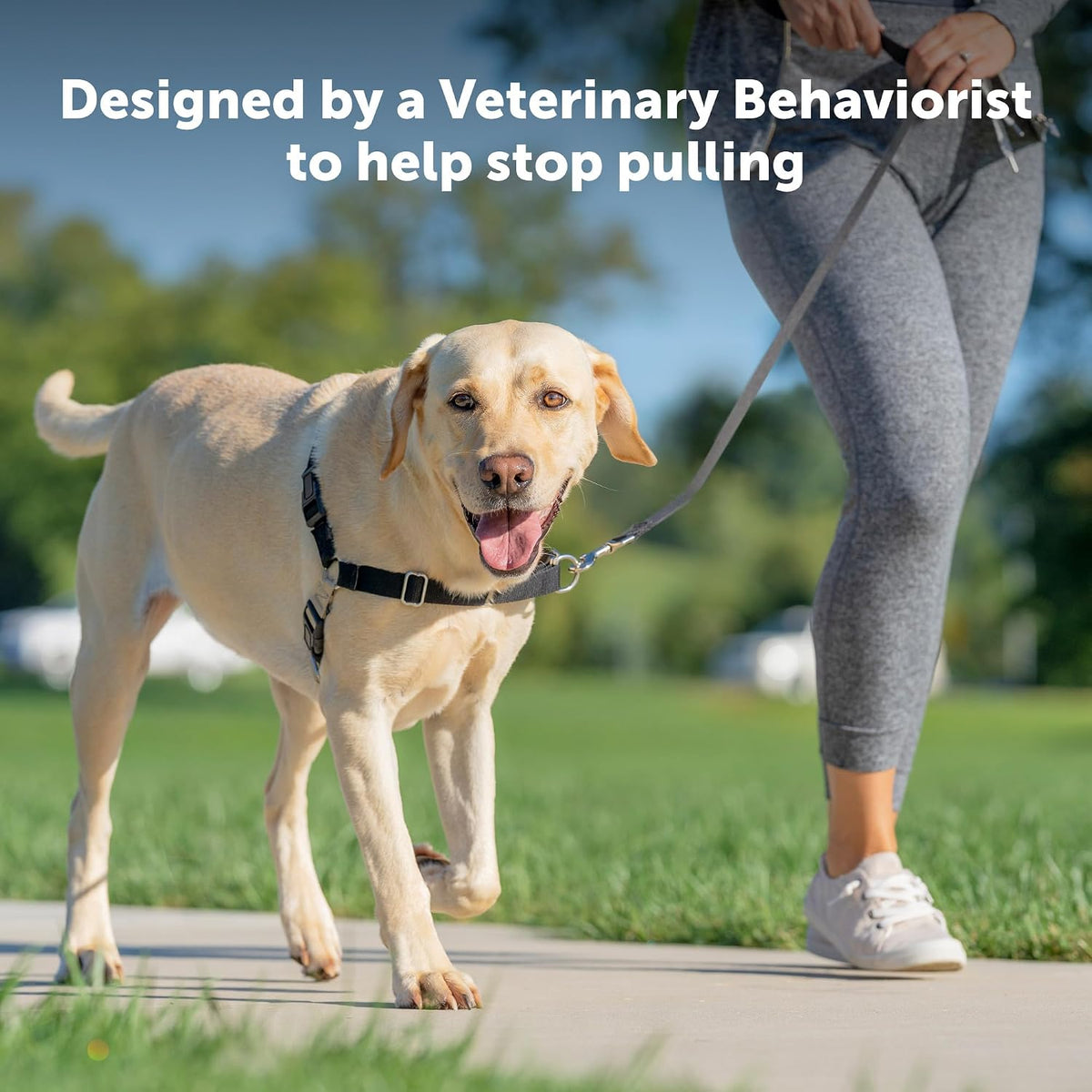 PetSafe Easy Walk Harness, No Pull Dog Harness, Royal Blue - Royal Blue/Navy Blue / Medium/Large / 1 - image 3