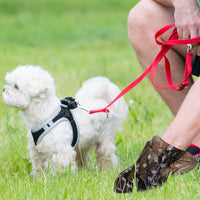 3000 Counts 200 Rolls Poop Bags for Dogs Plastic - Paw Print Style - image 2