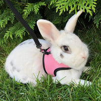 PETTOM Bunny Rabbit Guinea Pig Harness Stretchy Elastic Leash Cute - L(Chest:10.6-13.3 in) / Pink - image 3