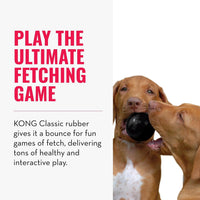 KONG Extreme Ball with Hole, Fetch Toy, Black - Small (Pack of 1) - image 4
