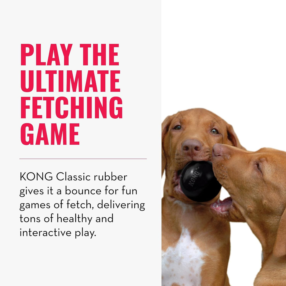 KONG Extreme Ball with Hole, Fetch Toy, Black - Small (Pack of 1) - image 4