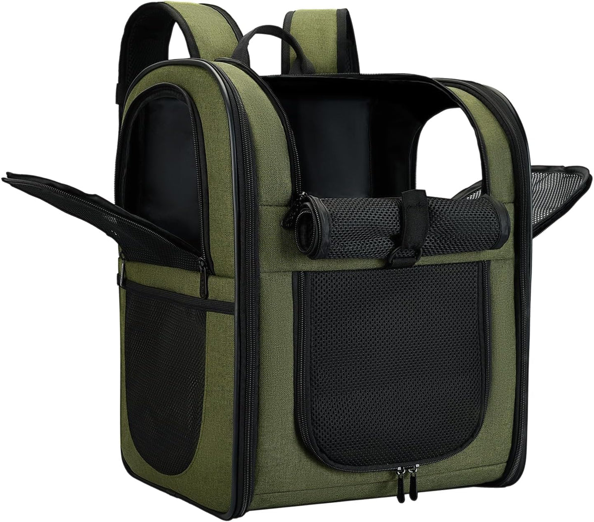 Apollo Walker Cat Backpack Carrier, Support Frame - Green / Medium-Standard