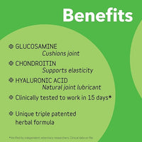 InClover Connectin Natural Hip & Joint Supplement for Dogs with Glucosamine, Chondroitin & Hyaluronic Acid - Tablet for Dog Mobility, Comfort & Active Lifestyle Support, 150 Count