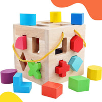 QZMTOY Shape Sorter Toys with 19 Shape Blocks – Fun for Kids & Family