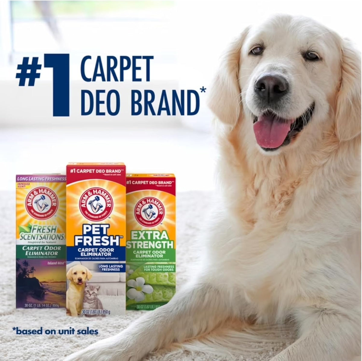 Pet Fresh Carpet Odor Eliminator - 16.3 Ounce (Pack of 12) - image 2