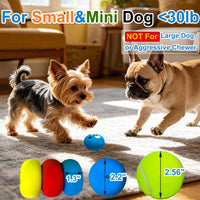 Latex Squeaky Dog Toys for Small Dogs & Mini Breeds - image 2