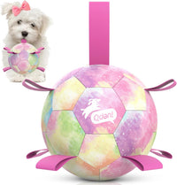 QDAN Dog Soccer Ball Toy with Strap - A-Colorful Pink / Medium Size 2