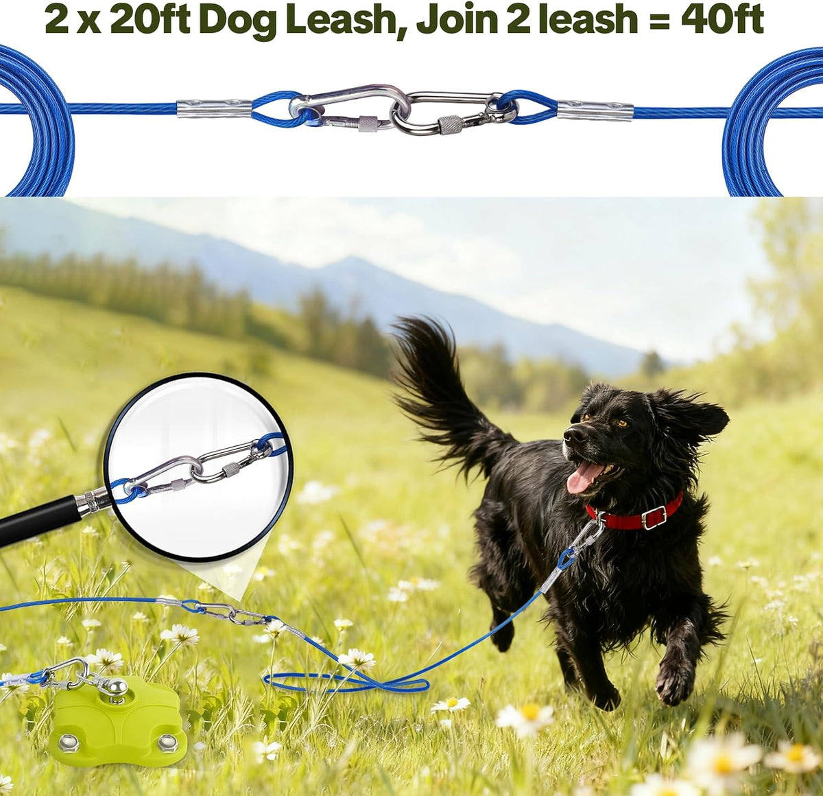 Heavy Duty Dog Tie Out Stake with 2x20FT Cables for Outdoor - Dog Stake+2X20ft Cable/200lbs - image 4