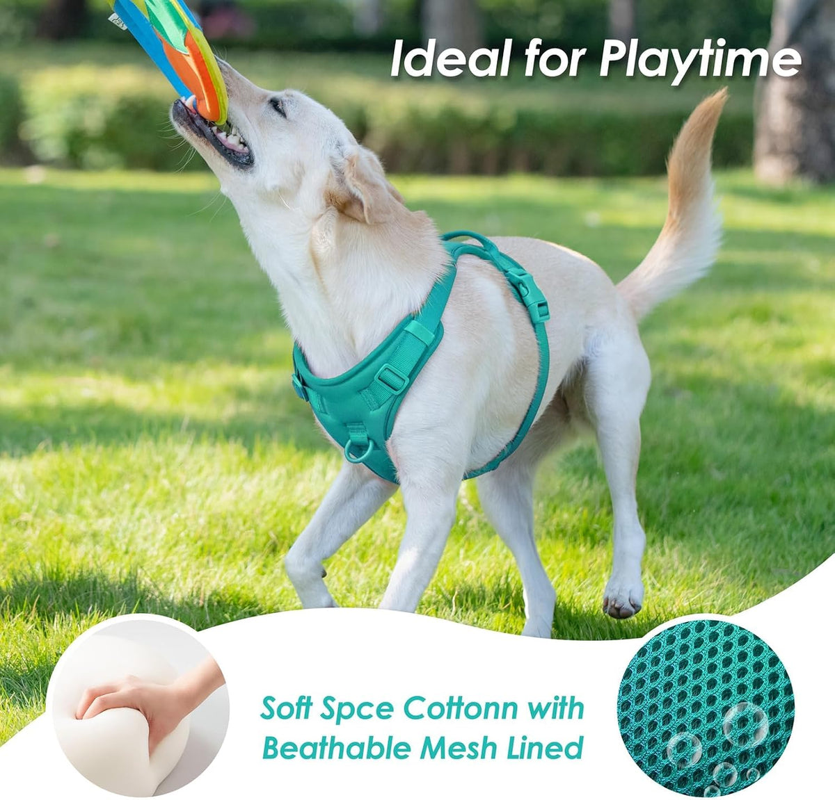 Sunraymascota No Pull Dog Harness for Medium Sized Dogs Puppy Vest - MARRS Green / M(Neck:18.5-25.6", Chest:20.9-30.7") - image 2