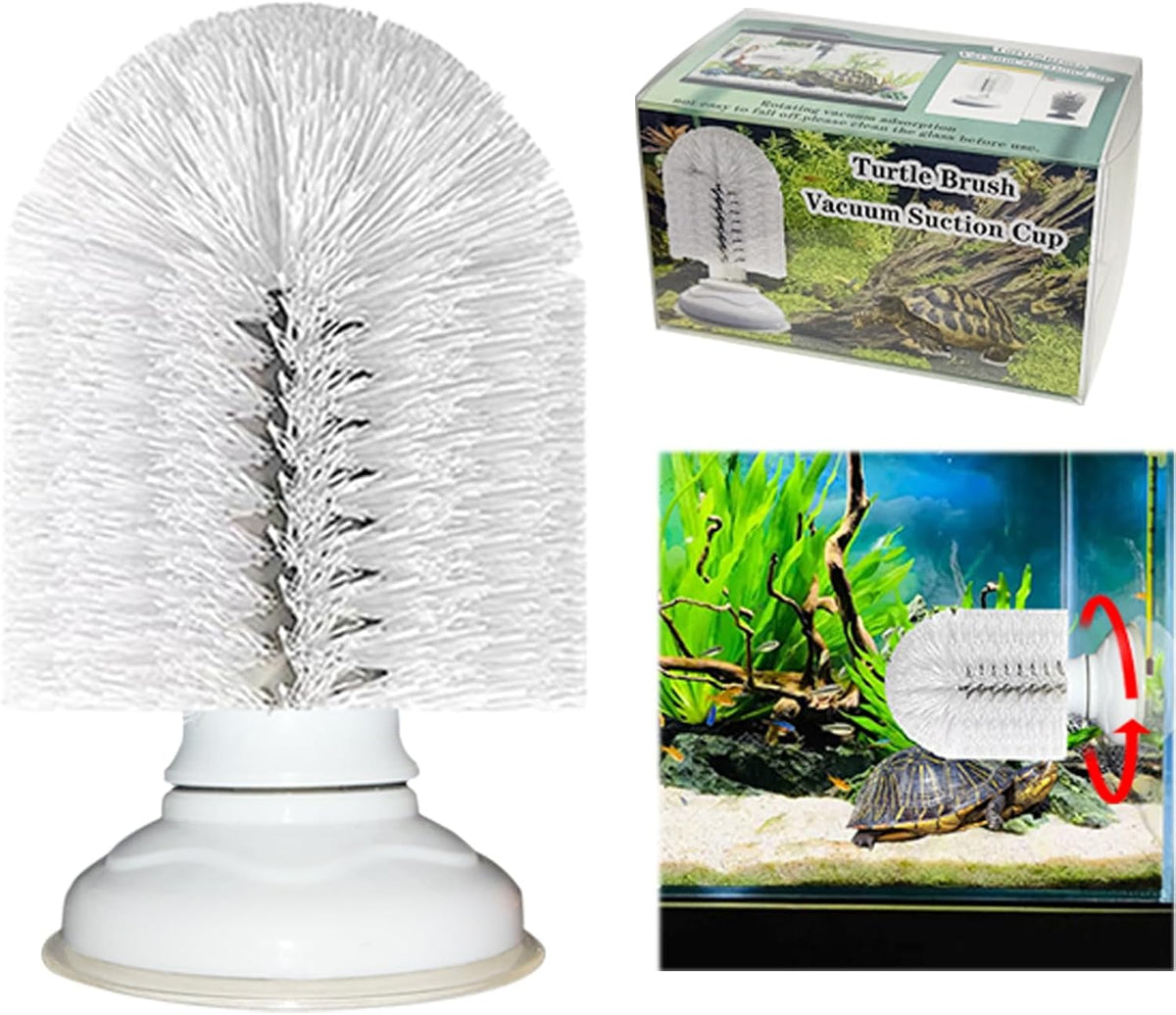 Turtle brush with screw-fastened suction cup for cleaning turtle shells