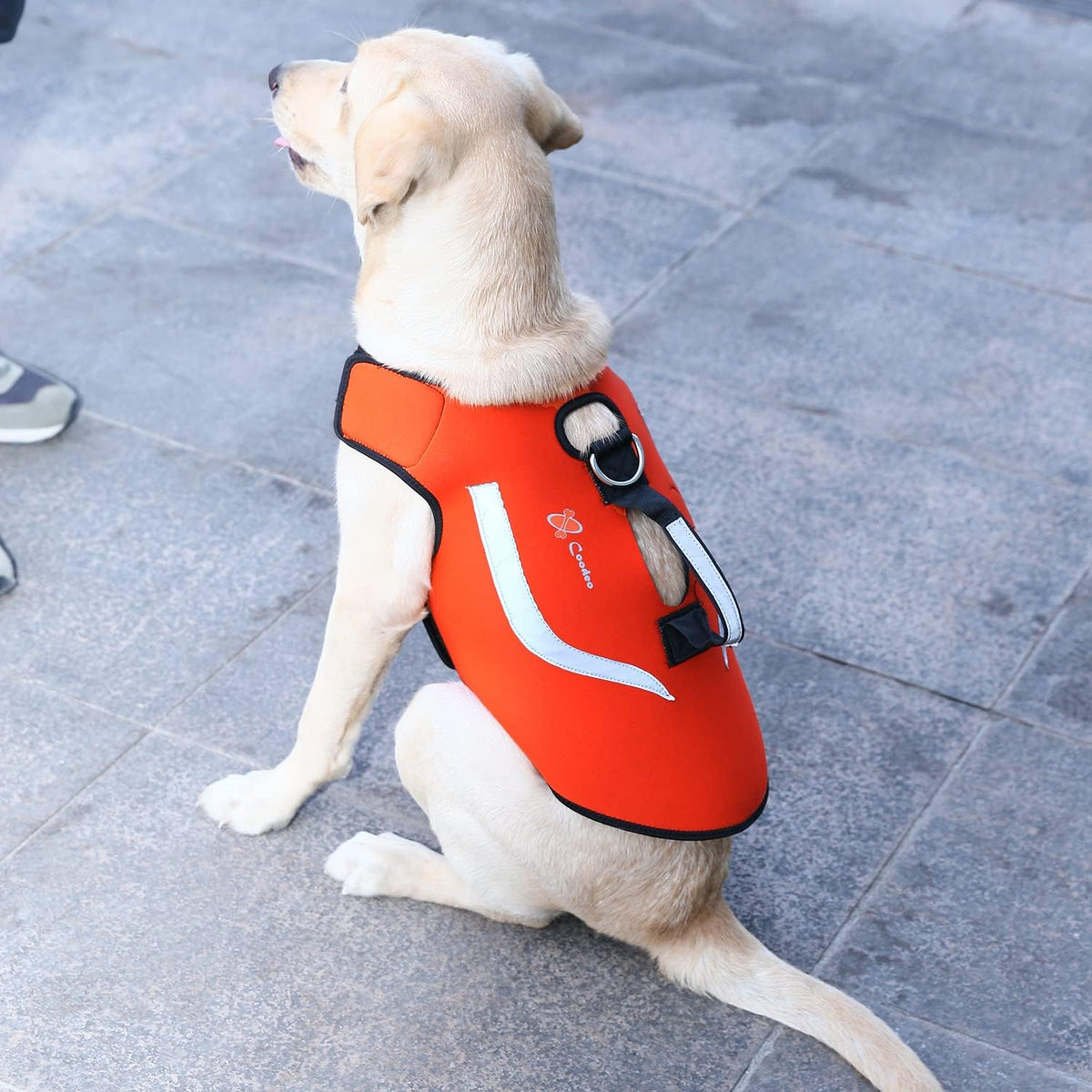 Coodeo Dog Hunting Vest Orange - X-Large - image 4