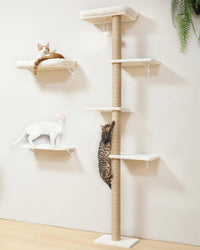 FUKUMARU Cat Wall Shelves Set - Beige