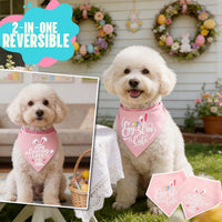 Halloween Dog Bandanas with No Tricks Sign - Easter Cute Lettering / X-Large - image 4