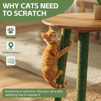 White Sisal Rope for Cat Tree and Scratching Post 5mm 1/5 Inch - Green Φ5mm/0.2inch / 100FT - image 3