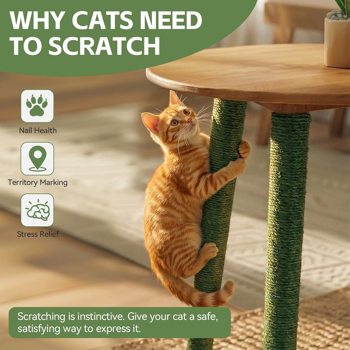 White Sisal Rope for Cat Tree and Scratching Post 5mm 1/5 Inch - Green Φ5mm/0.2inch / 100FT - image 3