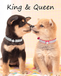 Dog Collar for Small Dogs - XS / purple3 - image 4