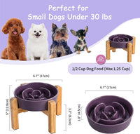 Elevated Slow Feeder Dog Bowl - Purple / 1.5 Cups - image 2