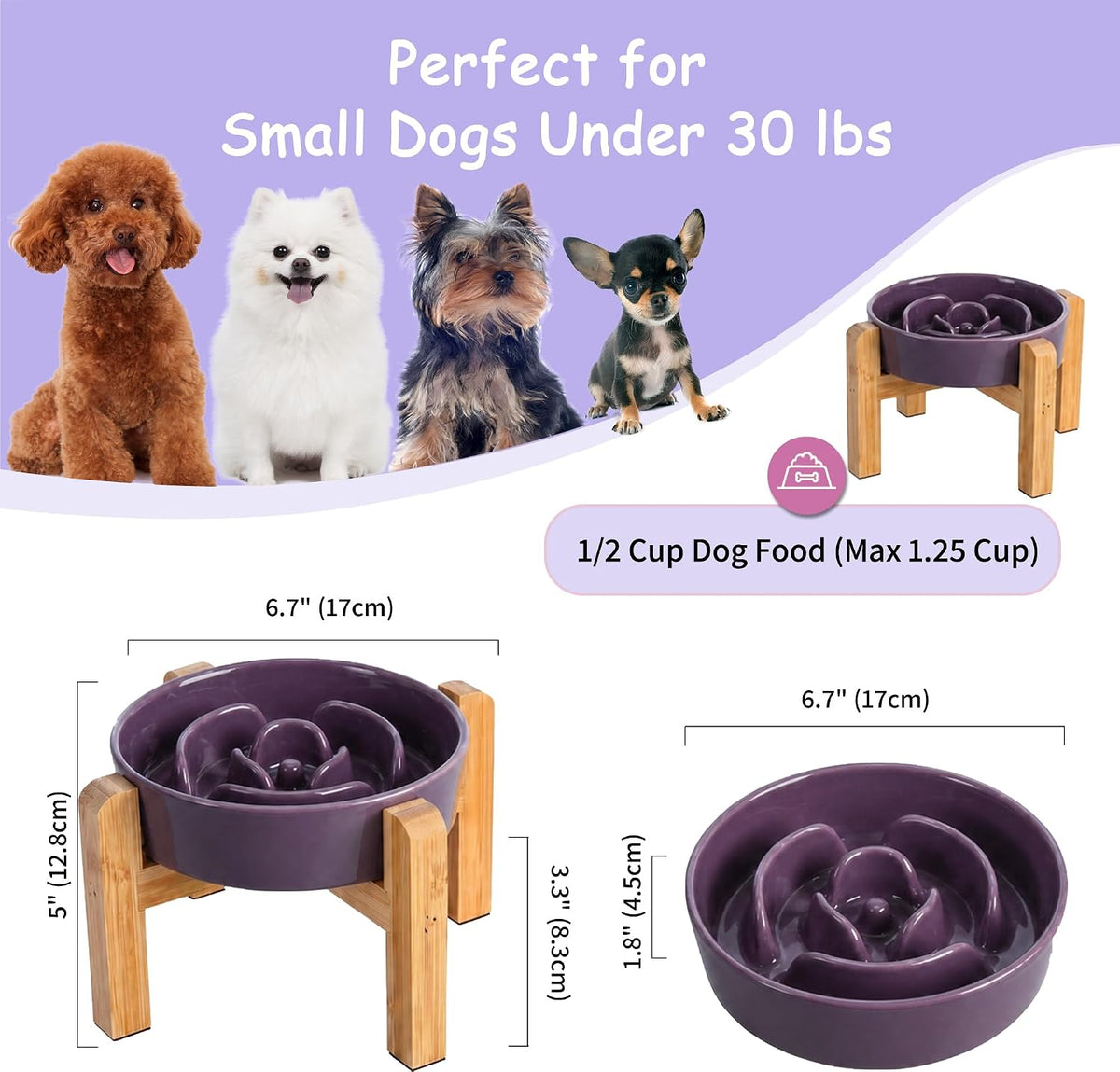 Elevated Slow Feeder Dog Bowl - Purple / 1.5 Cups - image 2