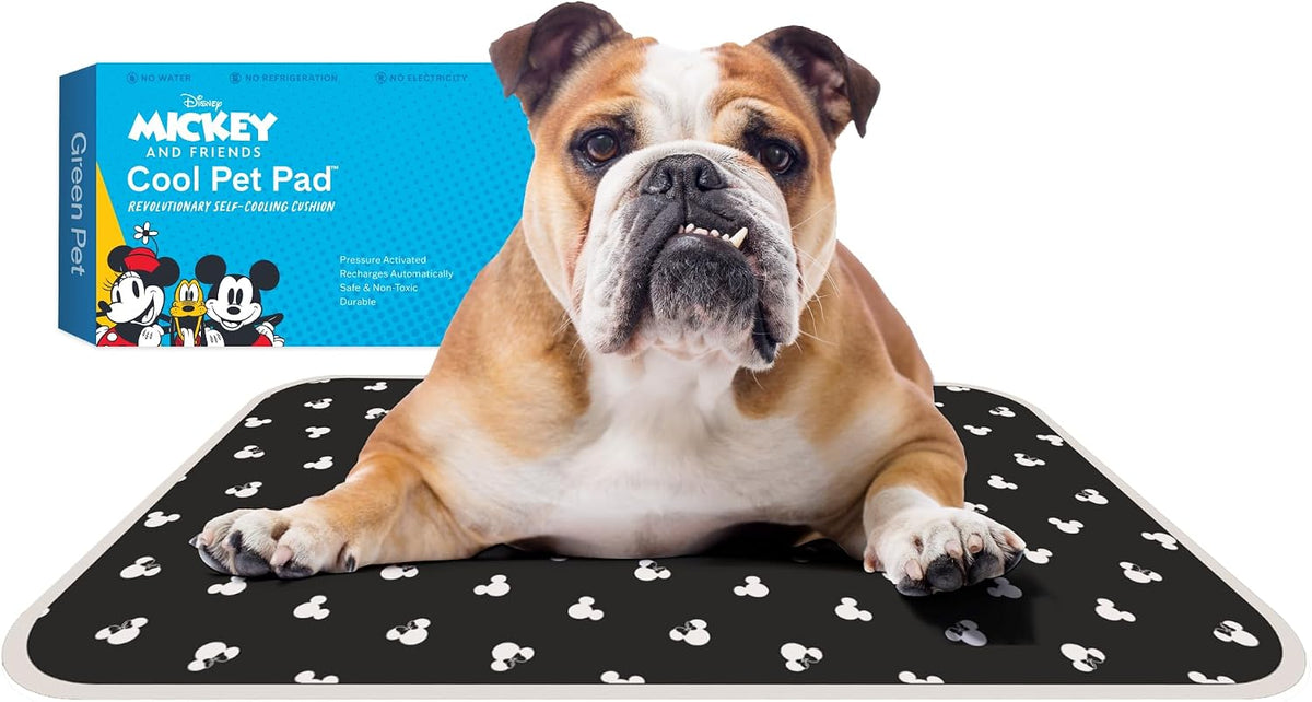 The Green Pet Shop Cool Pet Pad, Self-Cooling - Medium / Mickey & Minnie