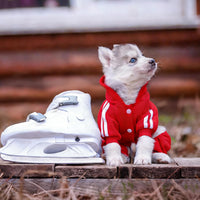 Dog Hoodie Security Clothes 4 Legs Jumpsuit Sweatshirt Hoodies Soft - Red / Small - image 2