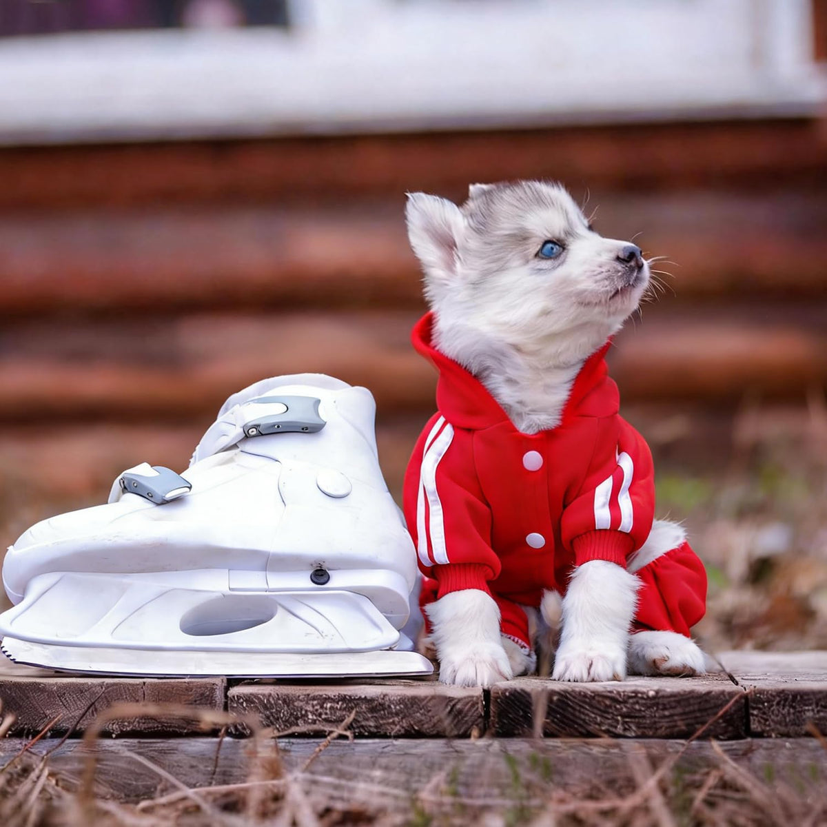 Dog Hoodie Security Clothes 4 Legs Jumpsuit Sweatshirt Hoodies Soft - Red / Small - image 2