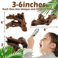6PCS Natural Driftwood 3" - image 3