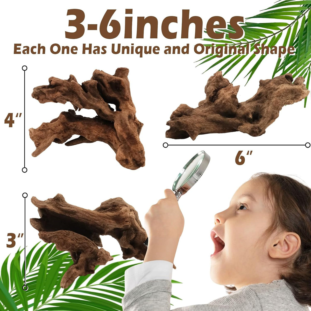 6PCS Natural Driftwood 3" - image 3