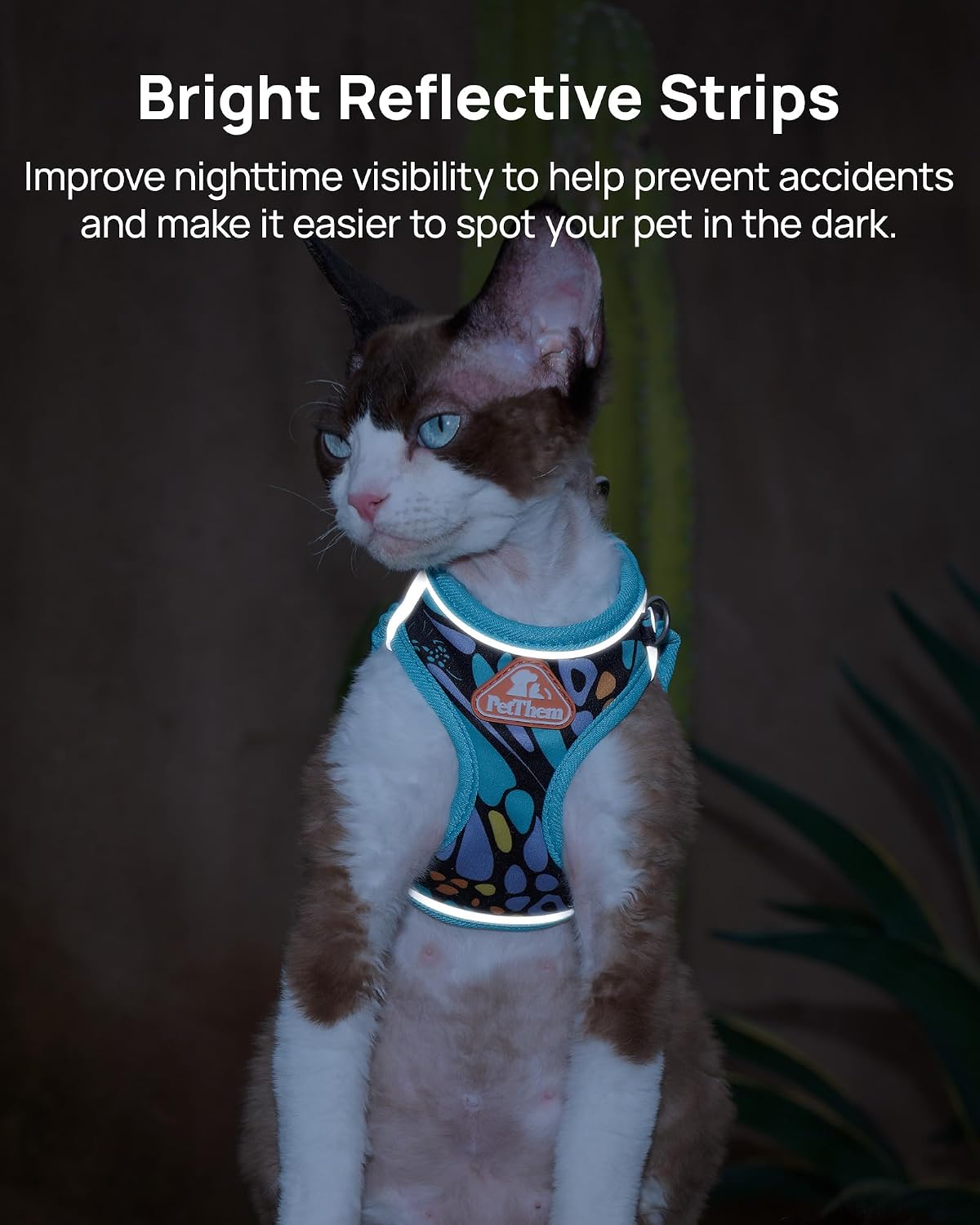 Upgraded Cat Harness and Leash Set - Blue Butterfly Magic / L - image 3