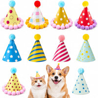 10pcs Colorful Mini Party Hats - Colorful Poms