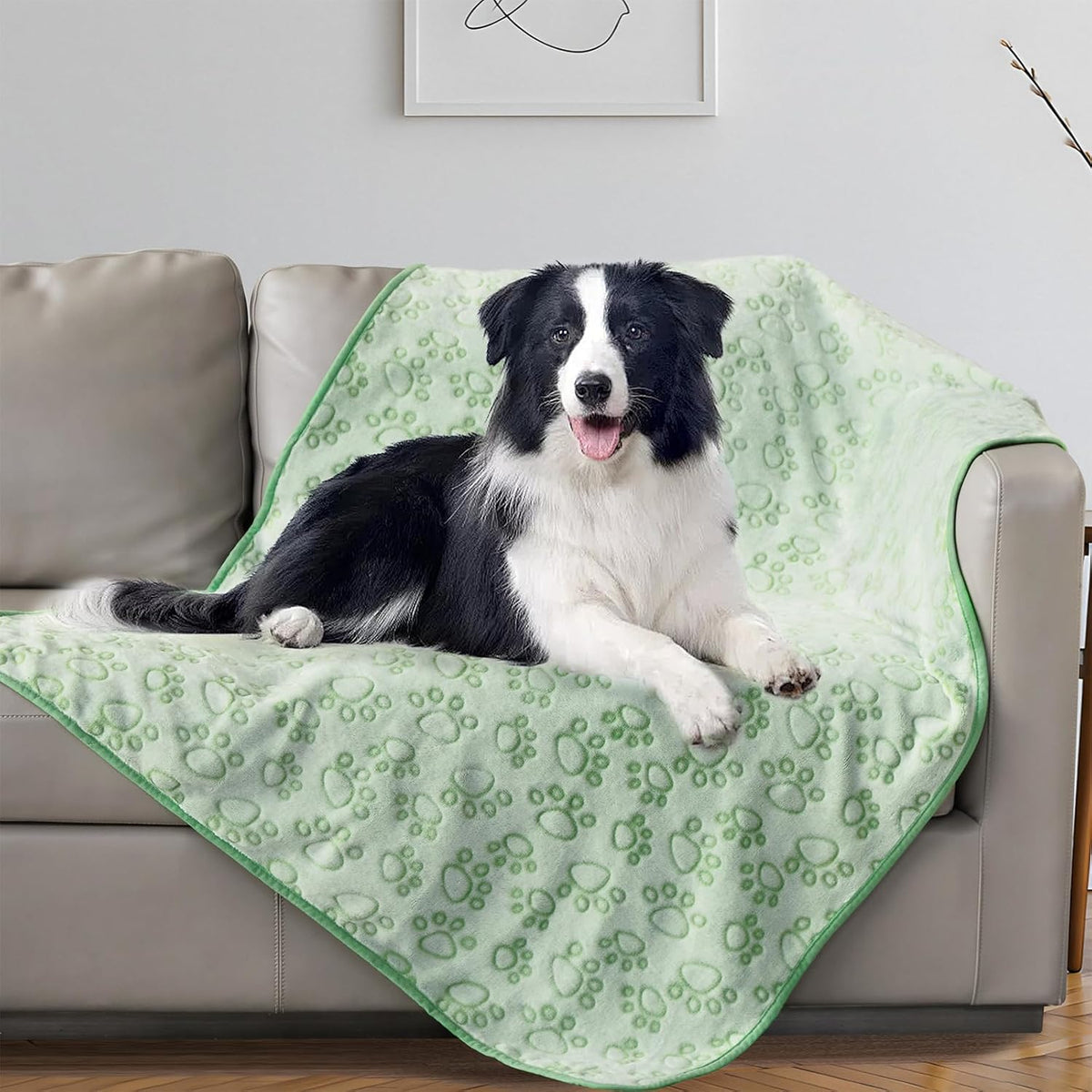 Stuffed Premium Soft Dog Blanket Washable - Green / L(42x66")