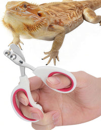 Stainless Steel Bearded Dragon Nail Clippers - Rose Red