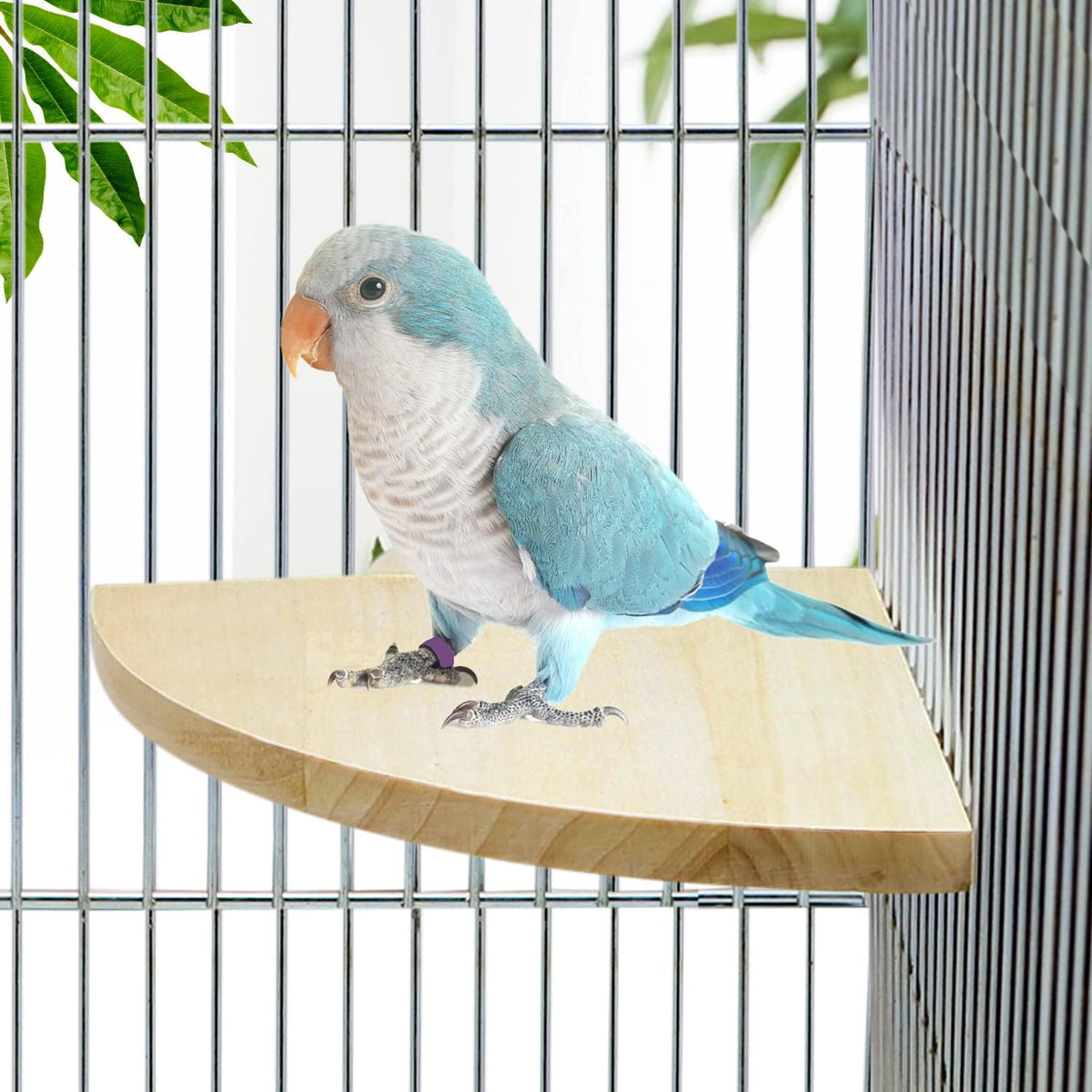 Litewoo Bird Parrot Corner Perch Flat Platform Stand for Cage - L: 6.69*6.69inch