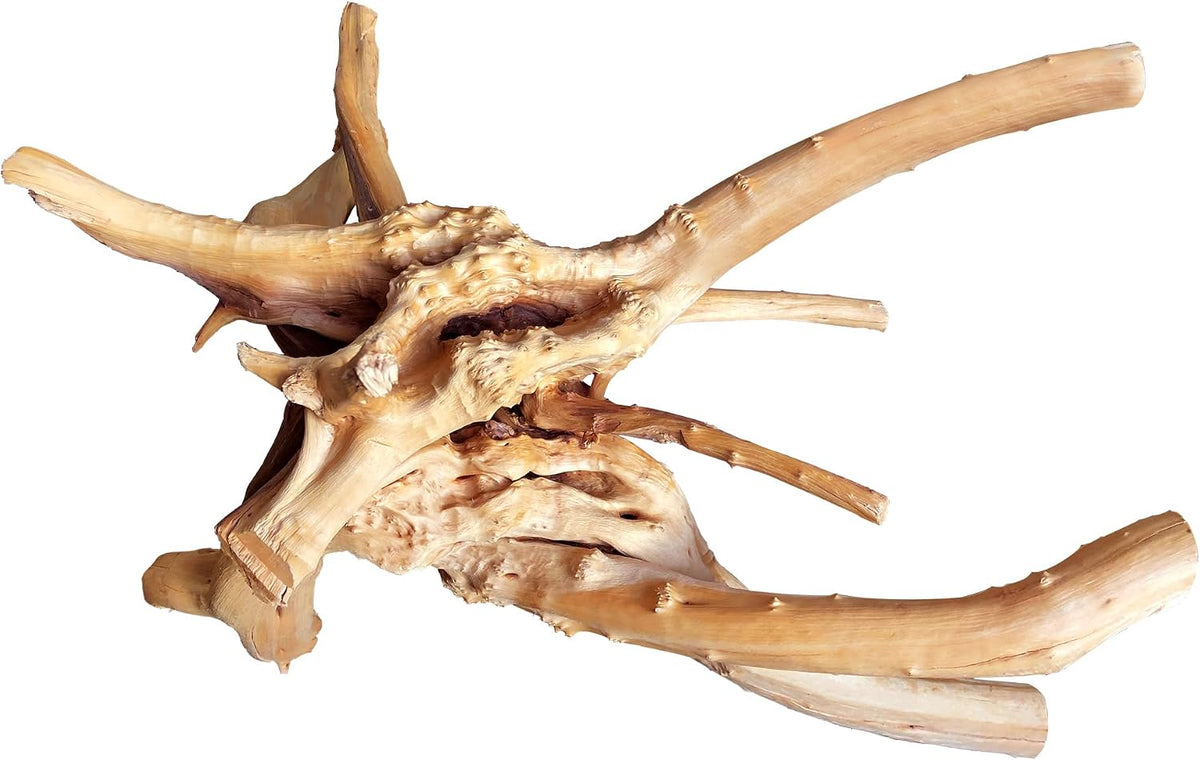majoywoo Natural Driftwood for Aquarium Decor Fish Tank Decor Reptile - Spiderwood 13 to 17 Inch(Pack of 1)