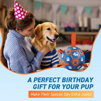 QDAN Dog Balls, Herding Balls for Dogs - Blue Orange / Large Size 3 (8 Inch) - image 3