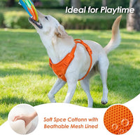 No Pull Dog Harness, Puppy Vest with Front Clip for Small Medium Large Sized Dog(Orange,XS)