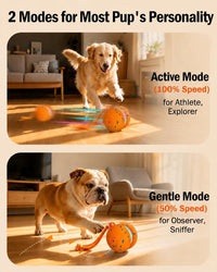 osou Interactive Dog Toy, Automatic Moving Dog Ball Toy with 2 Speed Modes – Essentials for Dogs - image 2