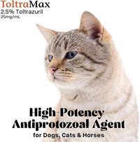 Vetr's Toltramax Toltrazuril Powder for Horses, Dogs, Cats, 100g (2.5%, Chicken)