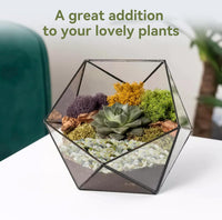 2.5 lbs Coarse Sand for Plants, Desert Silica Sand for Cactus - 2.5 Pounds / Jade - image 4