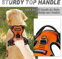 BARKBAY Dog Harness No Pull for Large Dogs Front Back Clips - Medium(Chest:22.5-28") / Orange - image 3
