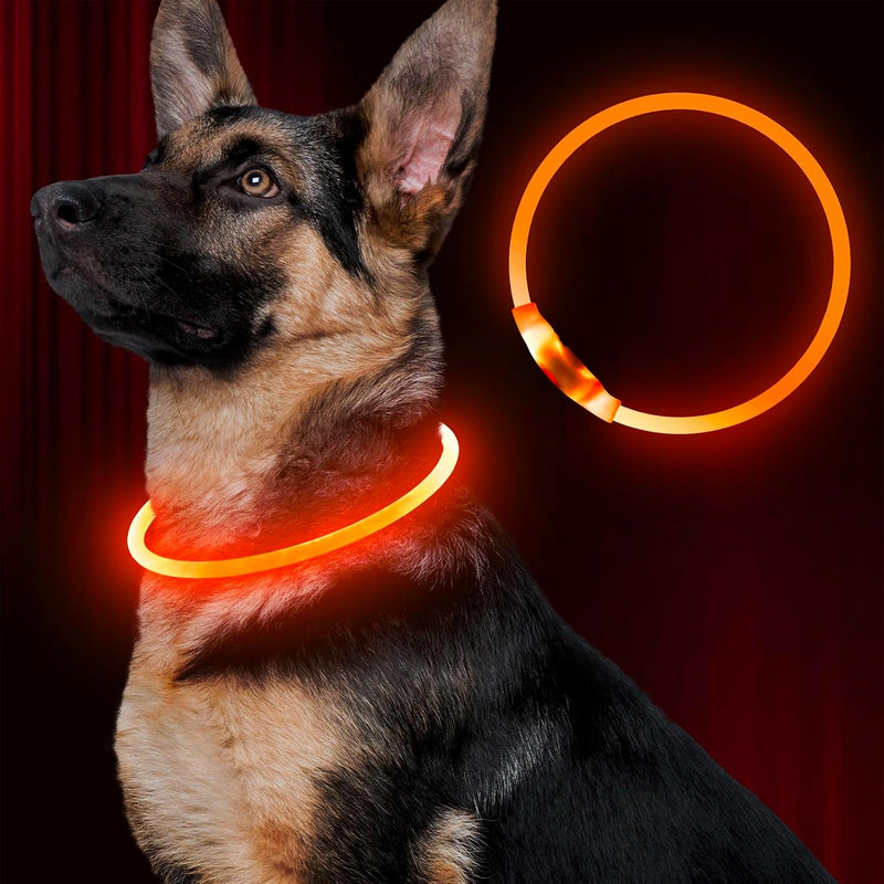 Led Dog Collar, BSEEN USB Rechargeable Flash Light up Dog Collar – Essentials for Dogs - Orange