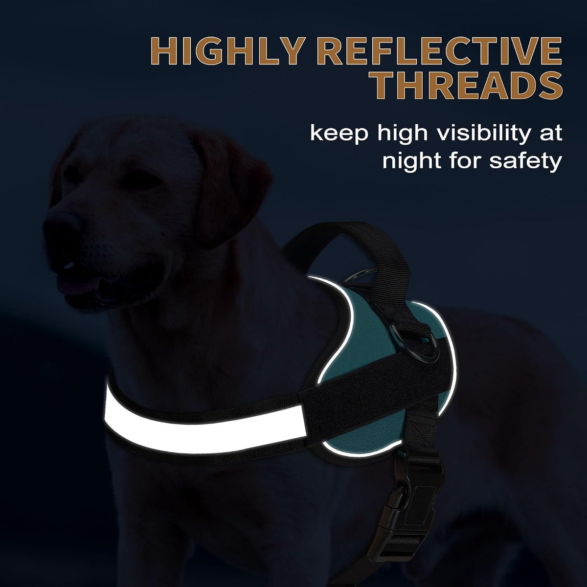 Haapaw Essential Dog Harness - L / Blue - image 4