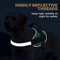 Haapaw Essential Dog Harness, No Pull Pet Vest with 3 Leash Clips, No Choke, Reflective, Adjustable and Padded, for Easy Walking and Training for Large Dogs(L, Blue)
