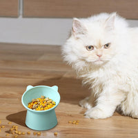 Tilted Cat Food Bowl, Whisker Friendly, Anti Vomiting, Slanted - Tall Cat Bowl-Green - image 2