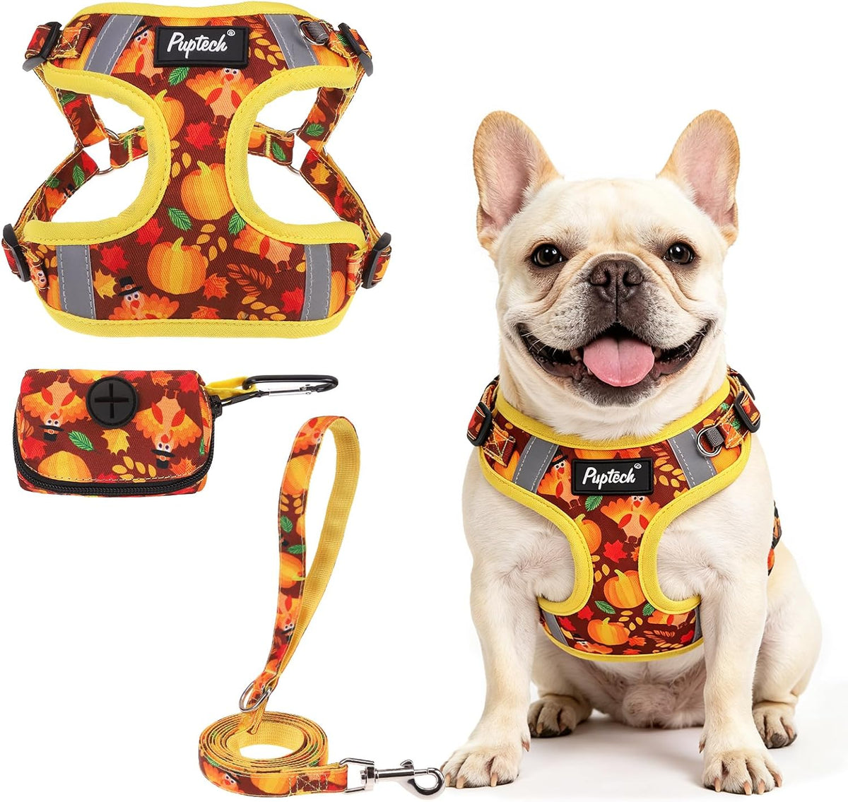 PUPTECK Dog Harness and Leash Set Small Sized - M (17-25lbs, Chest 17"-21") / #2 Brown(Turkey Print)