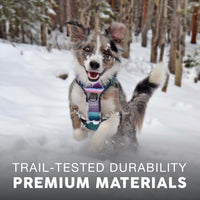 Embark No Pull Dog Harness, Reflective Adjustable Training Vest - L / Baja - image 3