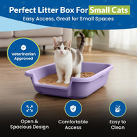 KittyGoHere Senior Cat Litter Box Jumbo Low Entry Open Top - Storybook Lavender / Small - image 2