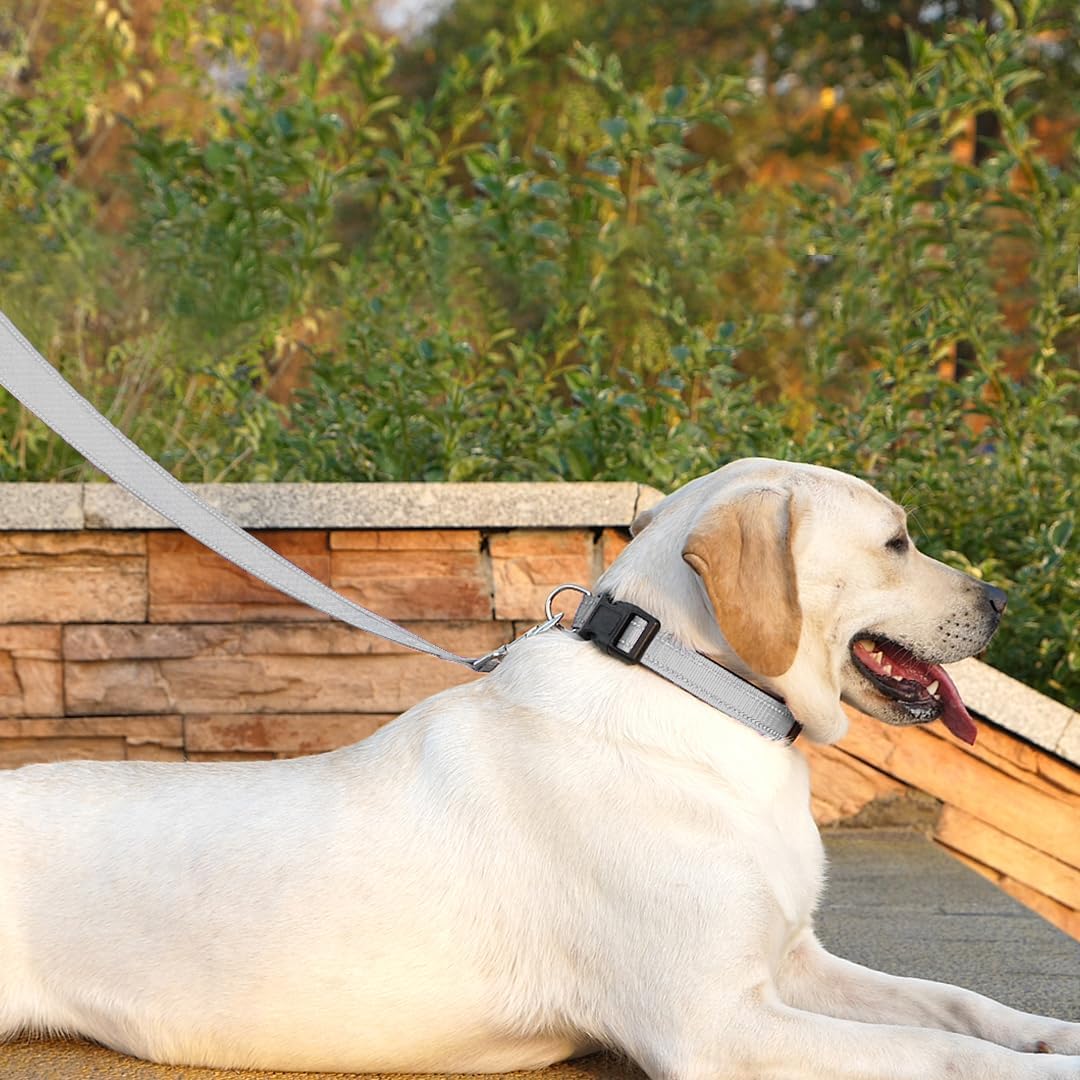 6 FT Basic Dog Leash for Medium Dogs - Refl Silver / Medium : 3/4" x 6 FT - image 3